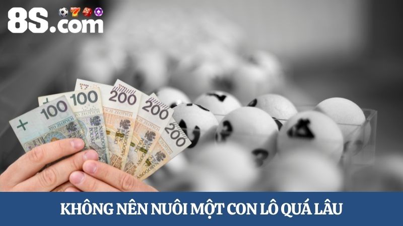 Kinh nghiệm chơi lô đề 8S Không nên nuôi một con lô quá lâu