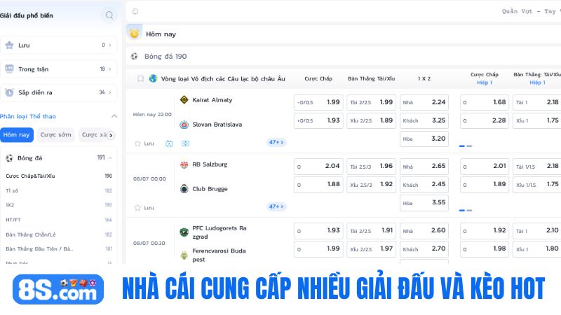 Nhà cái  8S bet