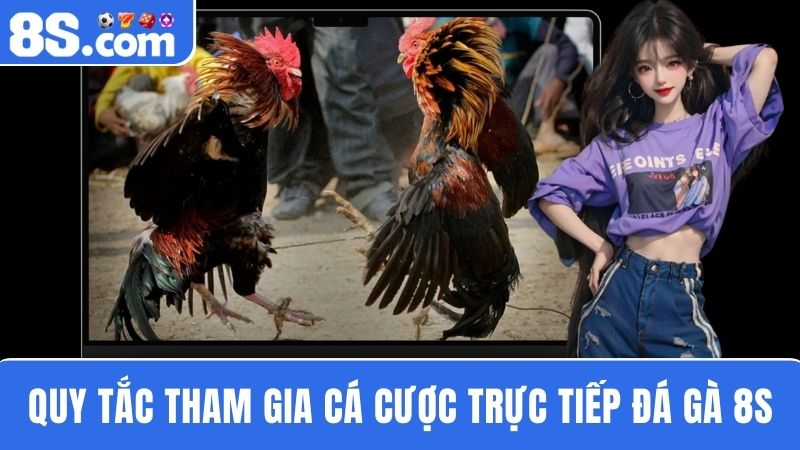 quy tắc để tham gia  trực tiếp đá gà 8S 