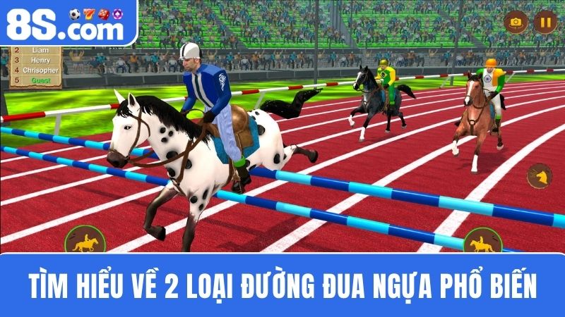 2 loài đường Đua ngựa 8S
