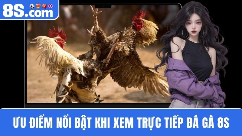 ưu điểm trực tiếp đá gà 8S 