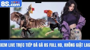 trực tiếp đá gà 8S