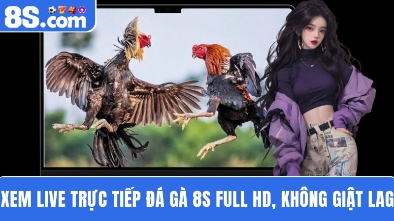  trực tiếp đá gà 8S 